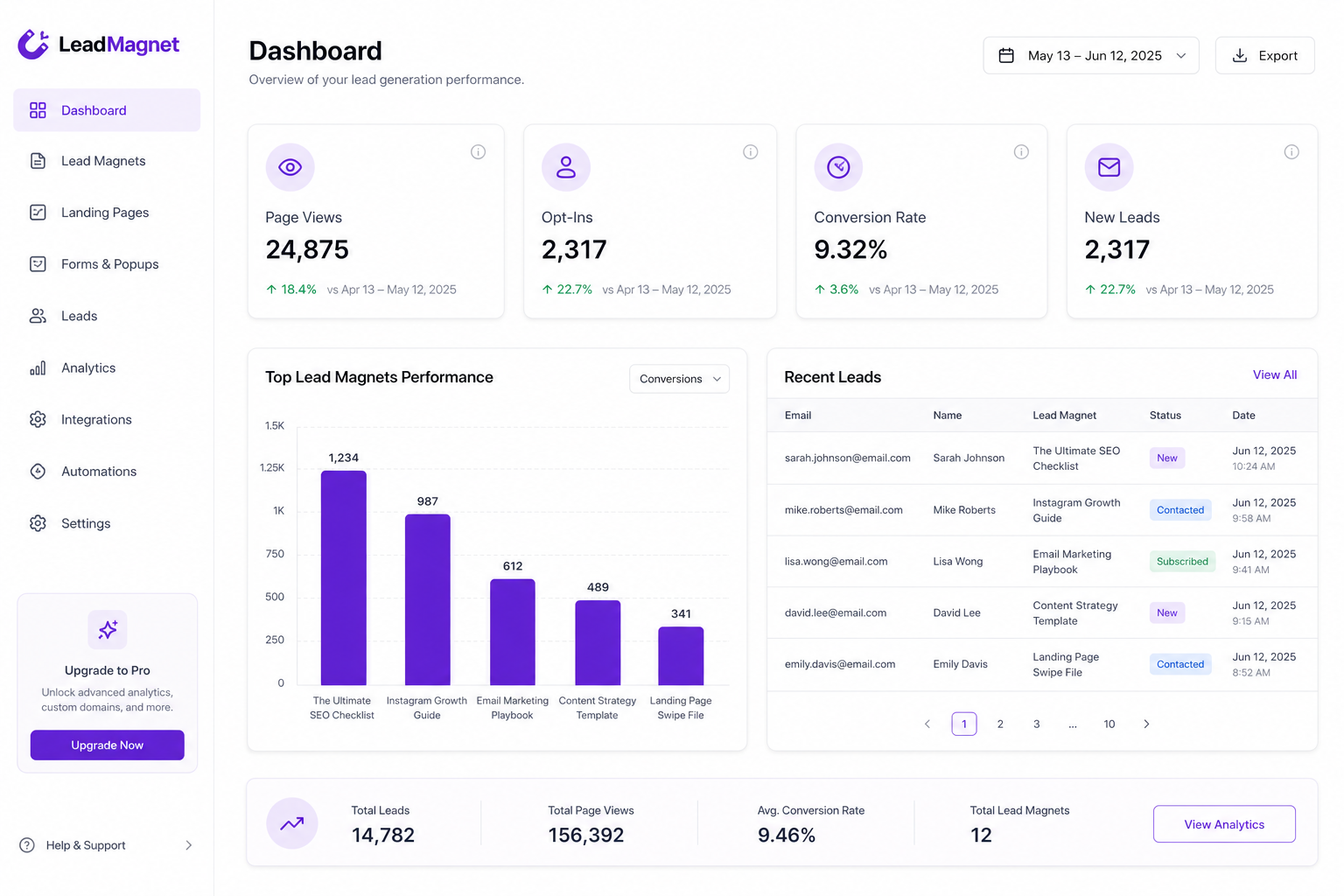 Lead magnet analytics preview